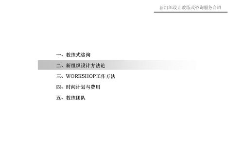 新組織設(shè)計(jì)教練式咨詢服務(wù) 會議與展覽服務(wù)領(lǐng)域的專業(yè)化支持
